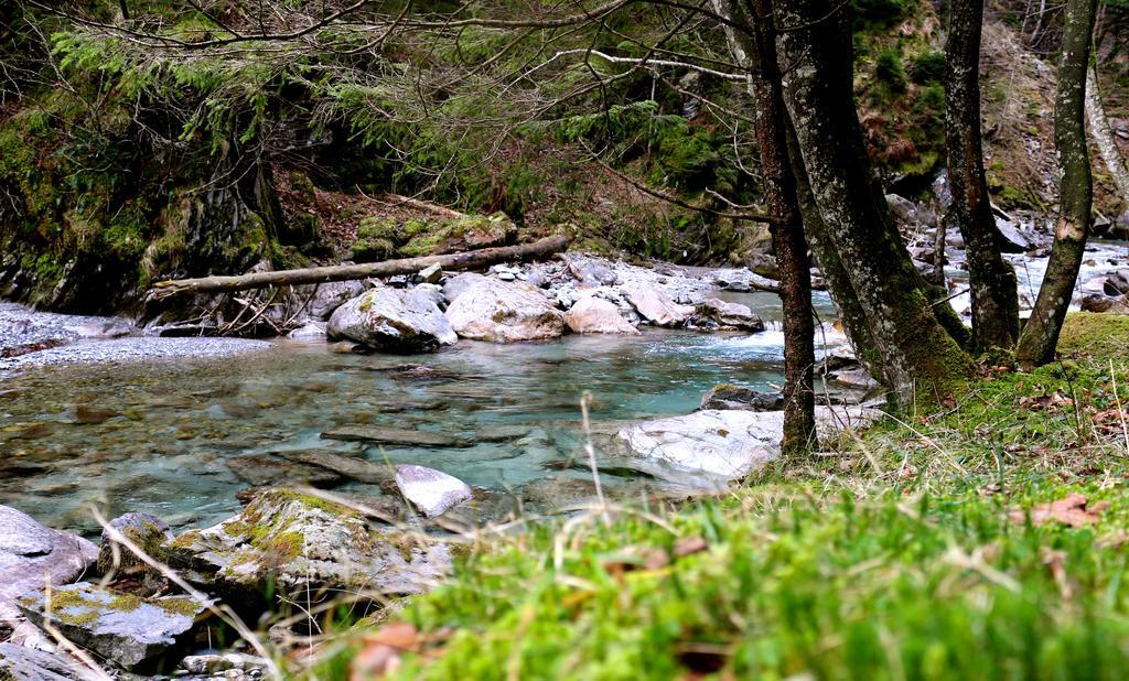 Mountain Lodge Urweider Innertkirchen Zewnętrze zdjęcie