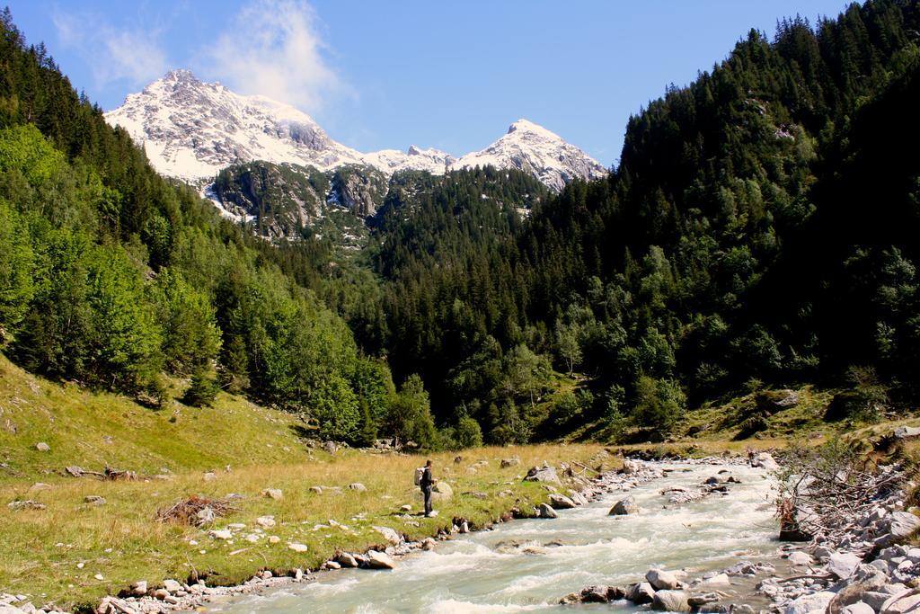 Mountain Lodge Urweider Innertkirchen Zewnętrze zdjęcie