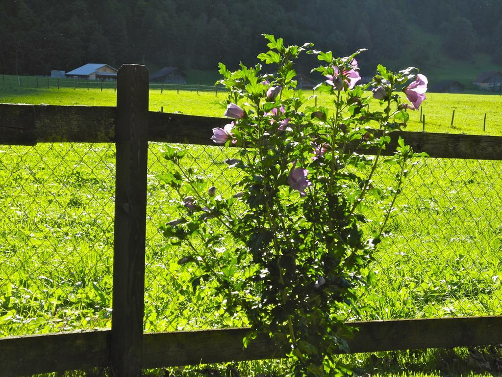 Mountain Lodge Urweider Innertkirchen Zewnętrze zdjęcie