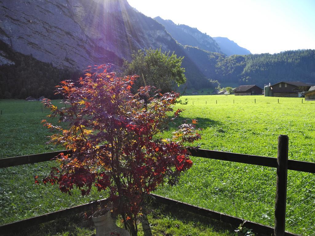 Mountain Lodge Urweider Innertkirchen Zewnętrze zdjęcie