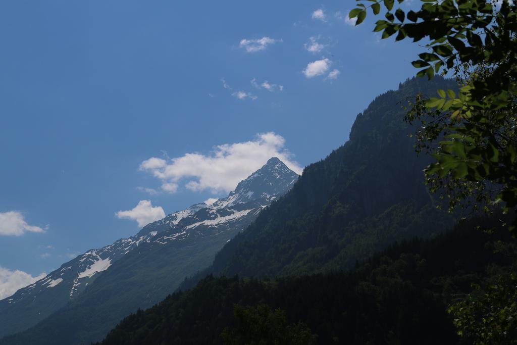 Mountain Lodge Urweider Innertkirchen Pokój zdjęcie