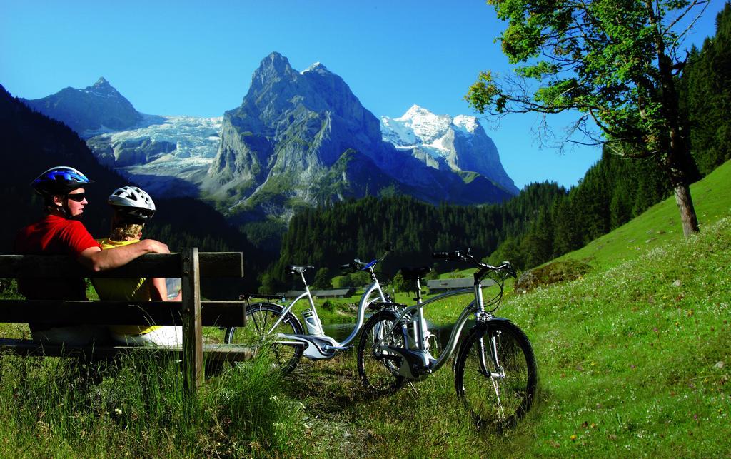 Mountain Lodge Urweider Innertkirchen Zewnętrze zdjęcie
