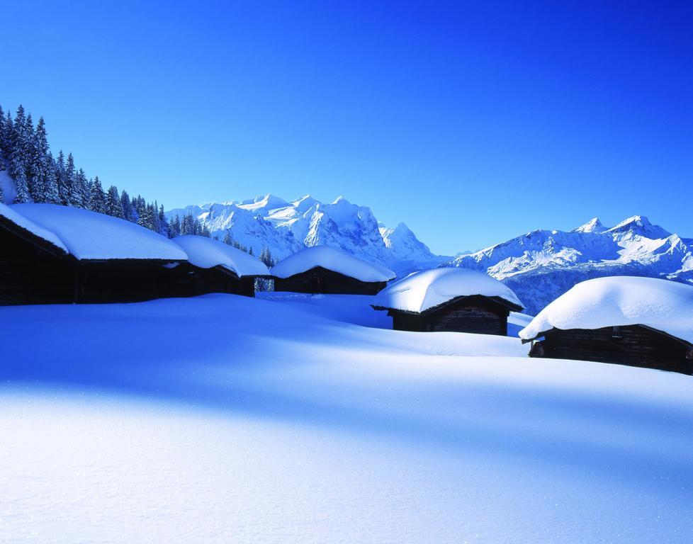 Mountain Lodge Urweider Innertkirchen Zewnętrze zdjęcie