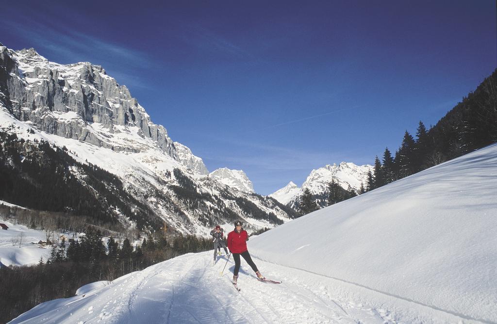 Mountain Lodge Urweider Innertkirchen Zewnętrze zdjęcie