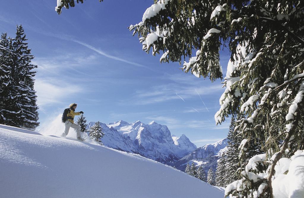 Mountain Lodge Urweider Innertkirchen Zewnętrze zdjęcie