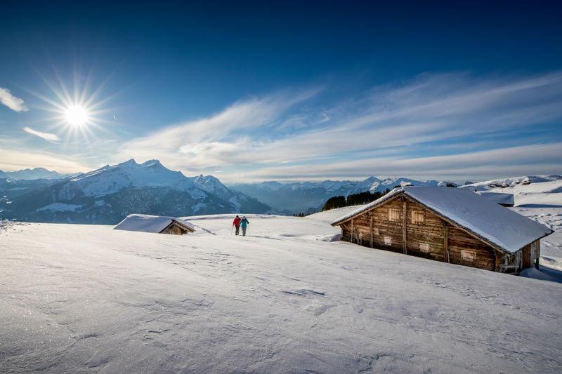 Mountain Lodge Urweider Innertkirchen Zewnętrze zdjęcie
