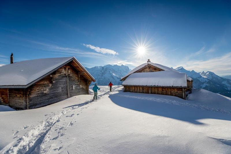Mountain Lodge Urweider Innertkirchen Zewnętrze zdjęcie