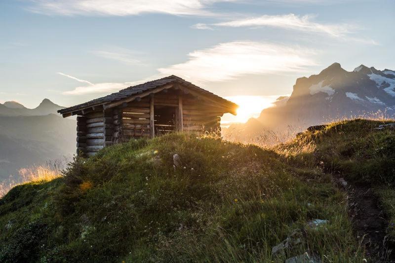 Mountain Lodge Urweider Innertkirchen Zewnętrze zdjęcie