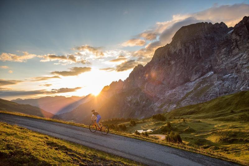 Mountain Lodge Urweider Innertkirchen Zewnętrze zdjęcie